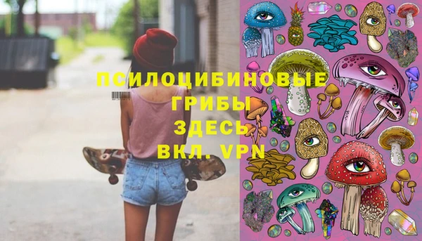 амф Елизово