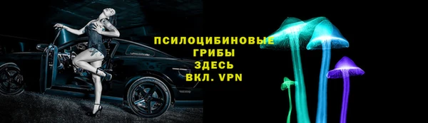 амф Елизово