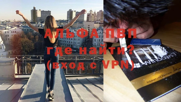 амф Елизово