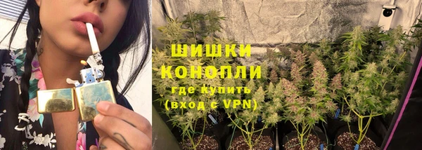 амф Елизово