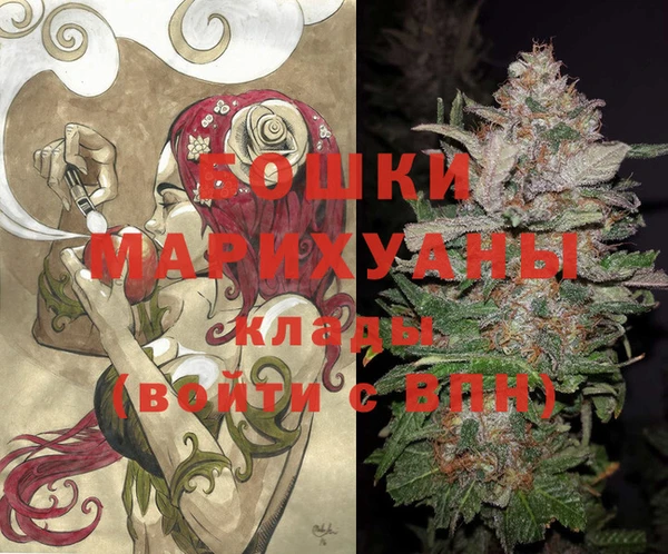 амф Елизово