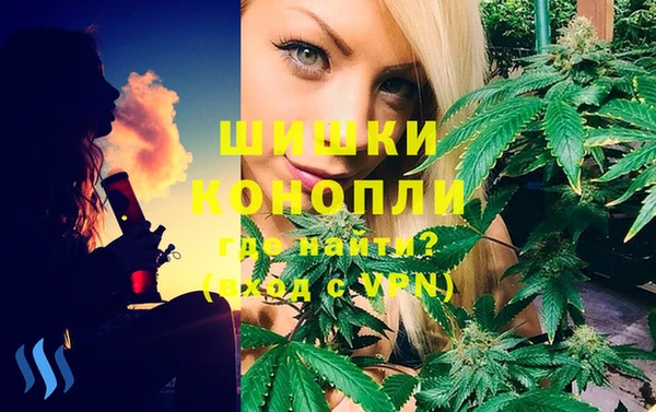 mix Ельня