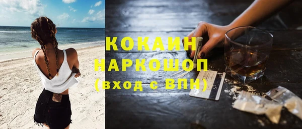 mix Ельня