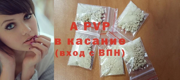 индика Тобольск
