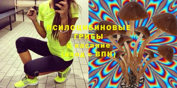 mix Ельня